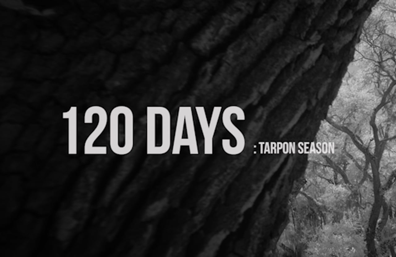 120 Days Official Trailer Moldy Chum
